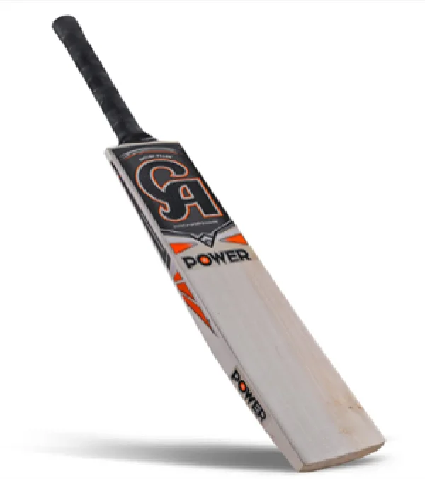 SS English Willow Cricket Bat